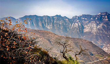 腾博官网-诚信为本,专业服务!